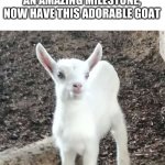 i never thought i would see the day | THANKS FOR 100K, TRULY AN AMAZING MILESTONE, NOW HAVE THIS ADORABLE GOAT | image tagged in yes goat | made w/ Imgflip meme maker