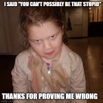 You're stupid | I SAID "YOU CAN'T POSSIBLY BE THAT STUPID"; THANKS FOR PROVING ME WRONG | image tagged in what do you mean,stupid,wrong | made w/ Imgflip meme maker