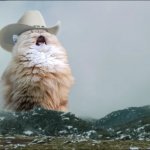 Cat Mountains Meme Generator - Imgflip