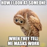 DaFUQ? | HOW I LOOK AT SOMEONE WHEN THEY TELL ME MASKS WORK | image tagged in upside down owl look | made w/ Imgflip meme maker
