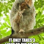 sleepy owl | IT HAS BEEN CONFIRMED; IT ONLY TAKES 3 LICKS TO GET TO THE CENTER OF A TOOTSIE POP | image tagged in sleepy owl | made w/ Imgflip meme maker
