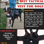 Best tactical vest for dogs