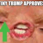 Tiny Trump approves