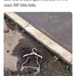Really? | image tagged in penguin skeleton in the road,lol,penguin,stupid | made w/ Imgflip meme maker