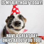 Happy birthday to me, happy happy day to you (unless it's your bday too) | IS MY BIRTHDAY TODAY! HAVE A GREAT DAY OK, IS ABOUT YOU TOO! | image tagged in birthday dog,happy birthday | made w/ Imgflip meme maker