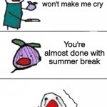 this onion won't make me cry | This onion won't make me cry You're almost done with summer break | image tagged in this onion won't make me cry,funny,memes | made w/ Imgflip meme maker