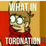 What in tordnation