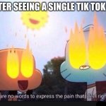 Amazing World Of Gumball | ME AFTER SEEING A SINGLE TIK TOK VIDEO | image tagged in amazing world of gumball | made w/ Imgflip meme maker