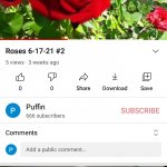 Roses 666
