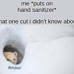 pain | me *puts on hand sanitizer*; that one cut i didn't know about | image tagged in bonjur | made w/ Imgflip meme maker
