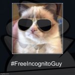 Free IncognitoGuy meme