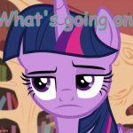 Unamused Twilight Sparkle (MLP) | What's going on | image tagged in unamused twilight sparkle mlp | made w/ Imgflip meme maker
