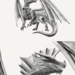 W | YOU HAVEN’T REREAD WINGS OF FIRE 14 TIMES YET? | image tagged in armor pathetic,wings of fire,wof | made w/ Imgflip meme maker