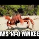 yankees suck Memes & GIFs - Imgflip