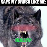 Crush! | ME WHEN SOMEONE SAYS MY CRUSH LIKE ME:; REALLY!? | image tagged in angry wolf | made w/ Imgflip meme maker