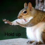 Hold Up Squirrel meme