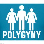 P O L Y G Y N Y | image tagged in polygyny,true love,girlfriends,boyfriend,human beings,relationships | made w/ Imgflip meme maker