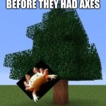 AXE-alotl | BEFORE THEY HAD AXES | image tagged in minecraft tree | made w/ Imgflip meme maker