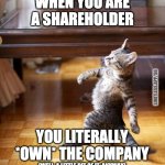 The Boss is on his way | WHEN YOU ARE A SHAREHOLDER YOU LITERALLY *OWN* THE COMPANY (WELL, A LITTLE BIT OF IT, ANYWAY) LIMITLESS.APP/SG | image tagged in cat walking like a boss | made w/ Imgflip meme maker
