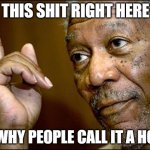 Call it a Hoax | THIS SHIT RIGHT HERE; IS WHY PEOPLE CALL IT A HOAX | image tagged in this morgan freeman | made w/ Imgflip meme maker