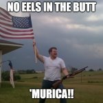 A Chinese man nearly died from shoving a live eel in his butt. | NO EELS IN THE BUTT; 'MURICA!! | image tagged in redneck shotgun and flag,china,funny memes,stupid people,butthurt | made w/ Imgflip meme maker