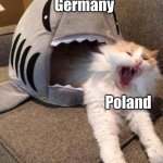 e | Germany; Poland | image tagged in scared cat,e,ww2 | made w/ Imgflip meme maker