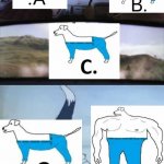 How would dogs wear pants? | image tagged in harry potter and ron being chased by tom with an extra panel,memes,funny,cursed image,pants,tom chasing harry and ron weasly | made w/ Imgflip meme maker