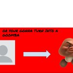 YOUR GONNA TURN INTO A GOOMBA