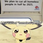 homeless people is gonna spend their last 4 years of living I guess... | A kid named "homeless people" | image tagged in sad pichu,memes,funny,funny memes,you had one job,wtf | made w/ Imgflip meme maker