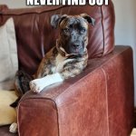 Contemplative Dog | WHAT IF I NEVER FIND OUT; WHO IS A GOOD GIRL | image tagged in contemplative dog | made w/ Imgflip meme maker