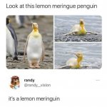 Lemon Meringuin meme