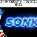 S O N K | THERAPIST: SONK ISN'T REAL, HE CAN'T HURT YOU!
SONK: | image tagged in sonk,lol,confused screaming | made w/ Imgflip meme maker