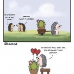 Hedgehog comic meme