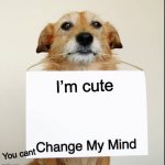 Change My Mind Dog | I’m cute You can’t | image tagged in change my mind dog | made w/ Imgflip meme maker
