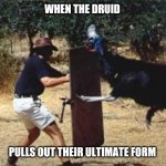 cassowary | WHEN THE DRUID; PULLS OUT THEIR ULTIMATE FORM | image tagged in cassowary | made w/ Imgflip meme maker