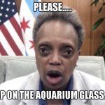 Mayor Lori Lightfoot | PLEASE..... DO NOT TAP ON THE AQUARIUM GLASS.    THANKS | image tagged in mayor lori lightfoot | made w/ Imgflip meme maker