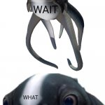 Subnautica cuddlefish wait what