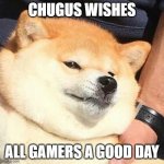 chongus | CHUGUS WISHES; ALL GAMERS A GOOD DAY | image tagged in chongus,dog,funny meme | made w/ Imgflip meme maker