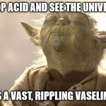 Yoda Meditating | DROP ACID AND SEE THE UNIVERSE; IS A VAST, RIPPLING VASELINE | image tagged in yoda meditating | made w/ Imgflip meme maker