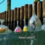 Now What?