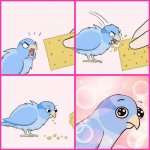 Bird cracker blank meme