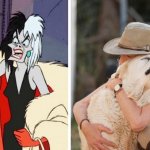 How they see me vs who I am