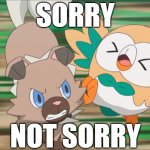 Sorry Not Sorry | SORRY; NOT SORRY | image tagged in rockruff attacks rowlet | made w/ Imgflip meme maker