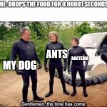 Jason's fresh daily memes #i've lost count | ME: DROPS THE FOOD FOR 0.00001 SECONDS; ANTS; MY DOG; BACTERIA | image tagged in gentlemen the time has come,memes,dank memes | made w/ Imgflip meme maker