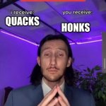 TRADE OFFER | HONKS; QUACKS | image tagged in trade offer | made w/ Imgflip meme maker