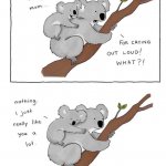 Mother koala and kid meme