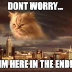 dont Worry | DONT WORRY... IM HERE IN THE END! | image tagged in end of the world cat,end of the world,cat god,god cat | made w/ Imgflip meme maker