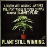 Plant still winning