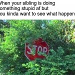 Stop Sign Behind Bushes | When your sibling is doing something stupid af but you kinda want to see what happens | image tagged in stop sign behind bushes | made w/ Imgflip meme maker