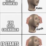 Kalm Panik Panik | YOU ARE LAYING IN YOUR BED YOU SEE A COCKROACH IT STARTS FLYING | image tagged in kalm panik panik | made w/ Imgflip meme maker